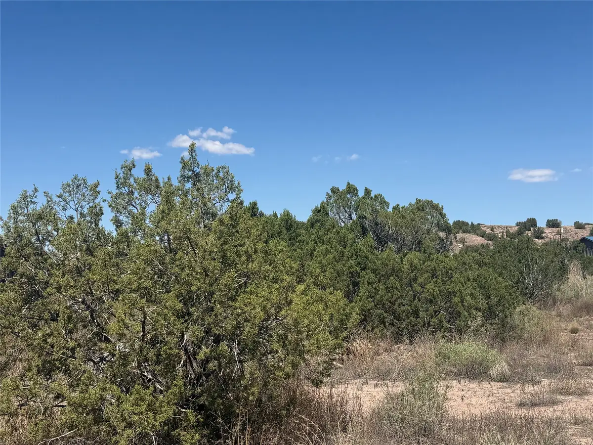 13 Rockridge, Cerrillos, NM 87010 - #1