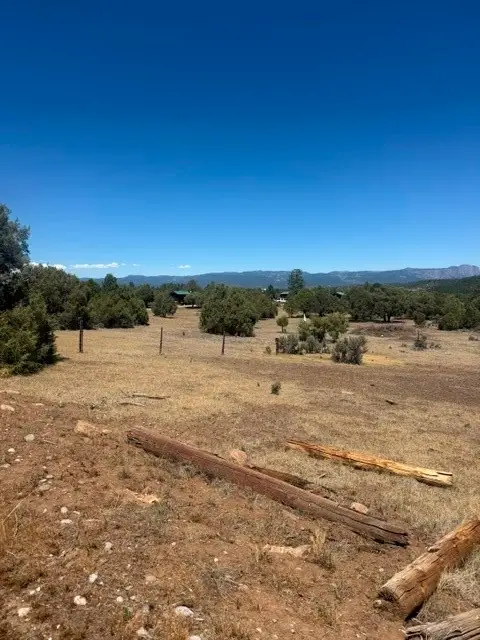 49A Heron Place, Los Ojos, NM 87551 - #2