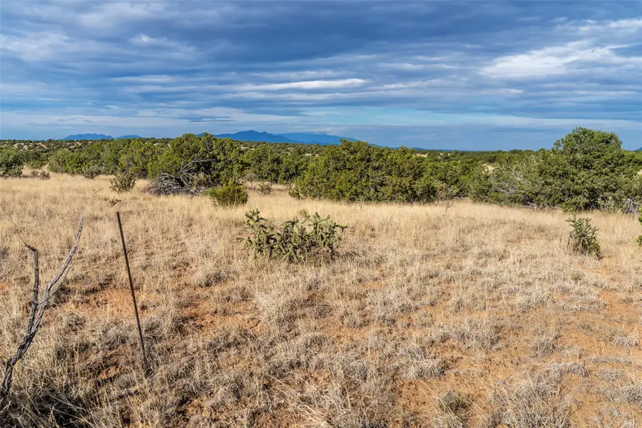30 Silver Saddle, Lamy, NM 87540 - #3