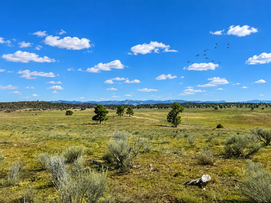 0 Chama West, Chama, NM 87520 - #2