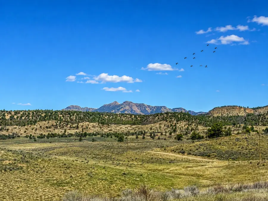 0 Chama West, Chama, NM 87520 - #3