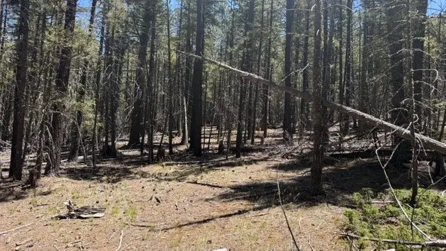 TBD Sawyer Mesa Road, Pecos, NM 87552 - #1