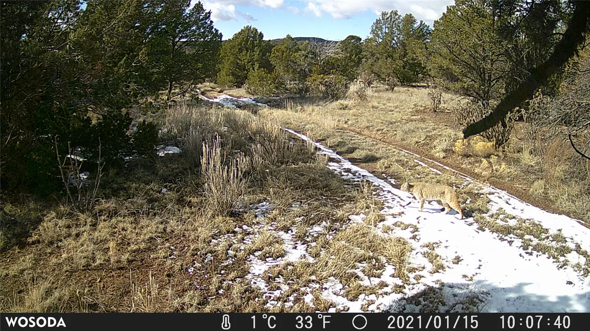 48 & 82 Rancho Mesita, Santa Fe, NM 87508 - #1