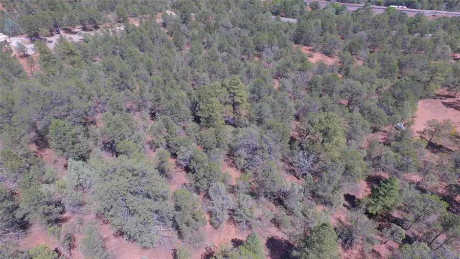 61 Avenida Ponderosa, Glorieta, NM 87535 - #3