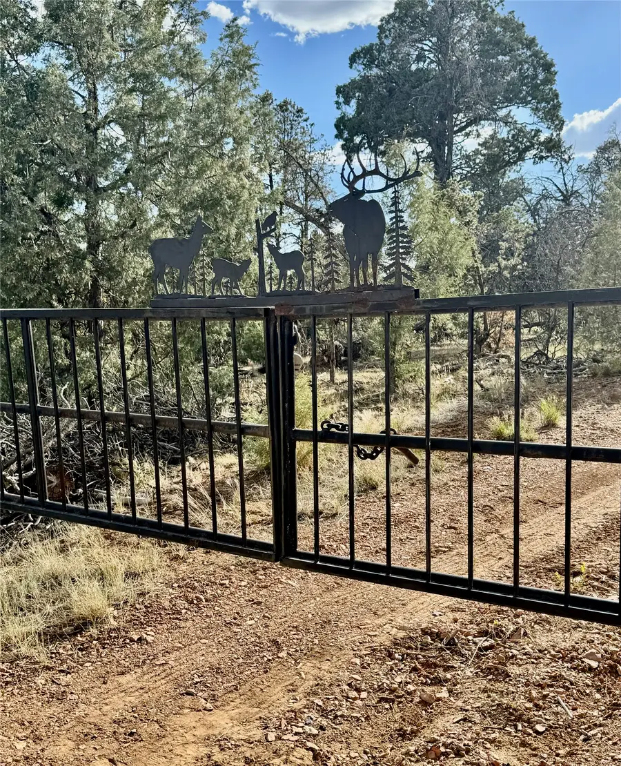 00 Nararjo Creek Rd, La Jara, NM 87027 - #2
