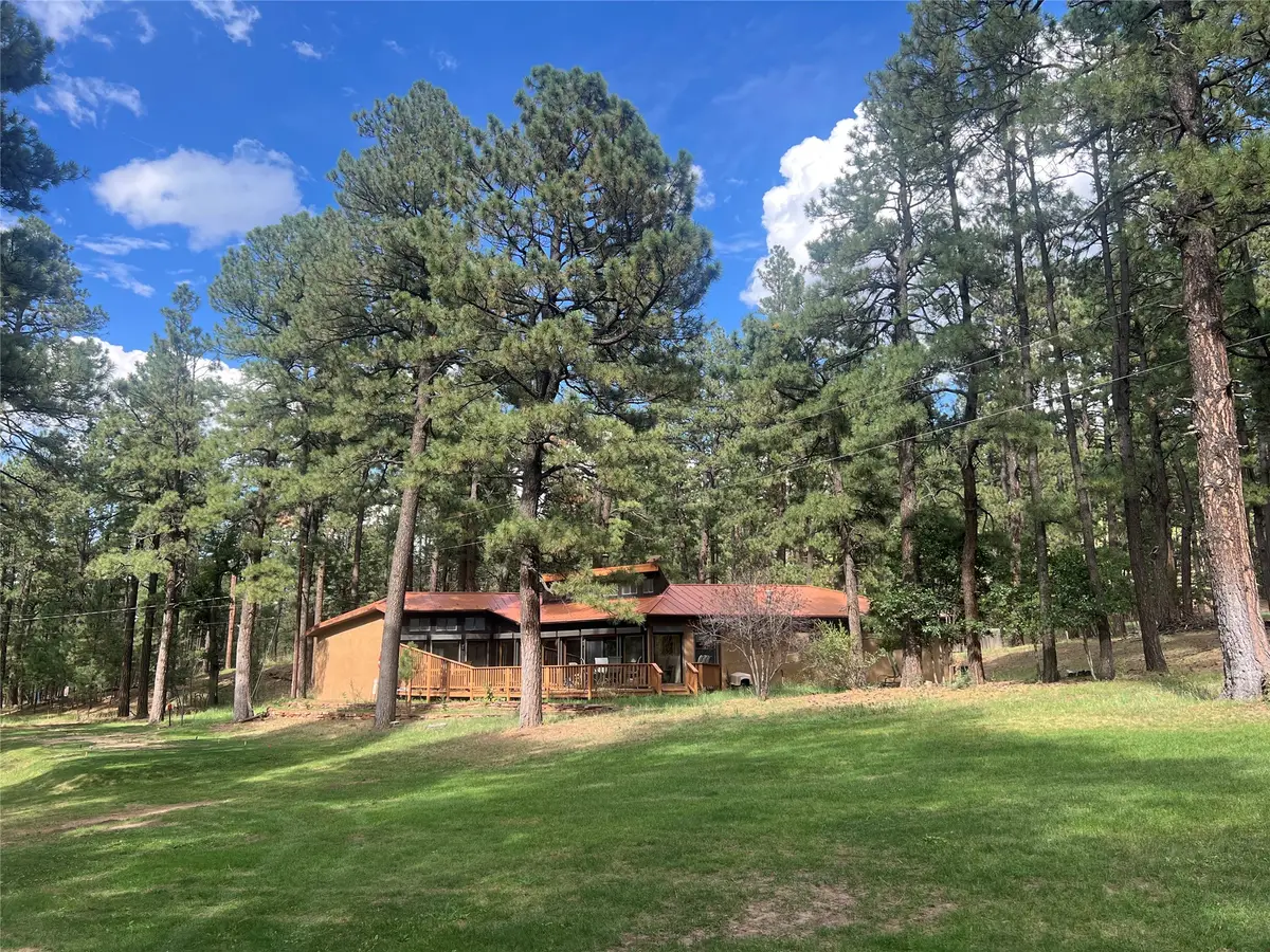 4 Forest, Rociada, NM 87742 - #1