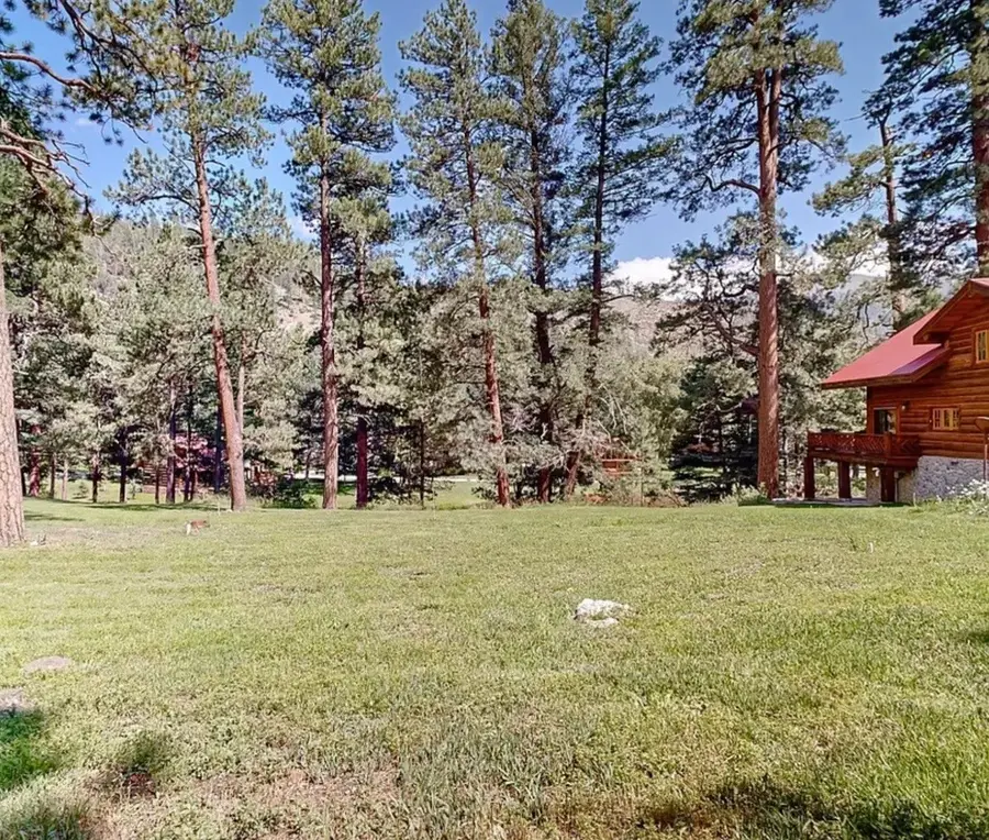 22 Tres Lagunas, Tererro, NM 87552 - #3