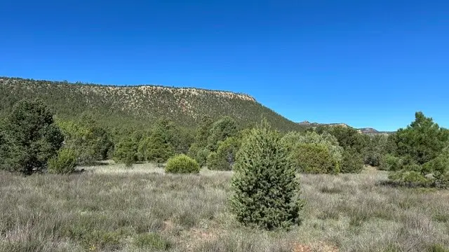 6 Acres Off Of Nm 34, Rowe, NM 87562 - #1