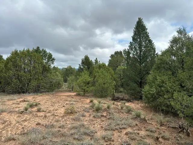6 Acres Off Of Nm 34, Rowe, NM 87562 - #2
