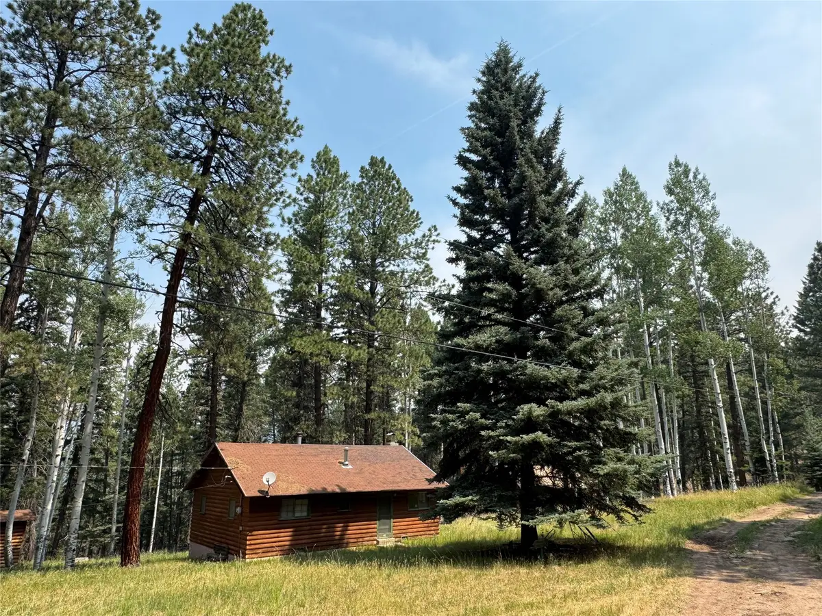 40 Grass Mountain, Chamisal, NM 87573 - #1