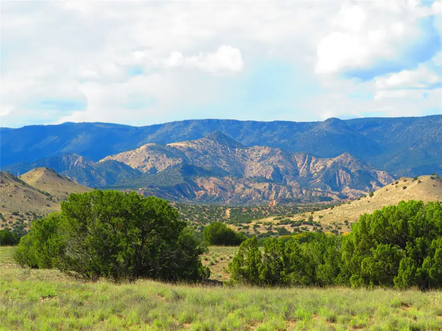 Lot 34 County Rd 142, Medanales, NM 87548 - #3
