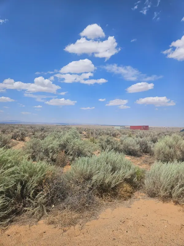 Hormiga Court, Los Lunas, NM 87031