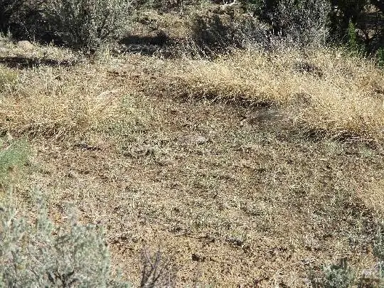 #3