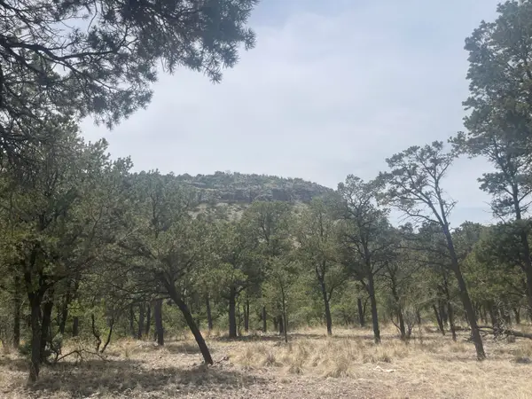Lot  30 Hop Canyon Road, Magdalena, NM 87825