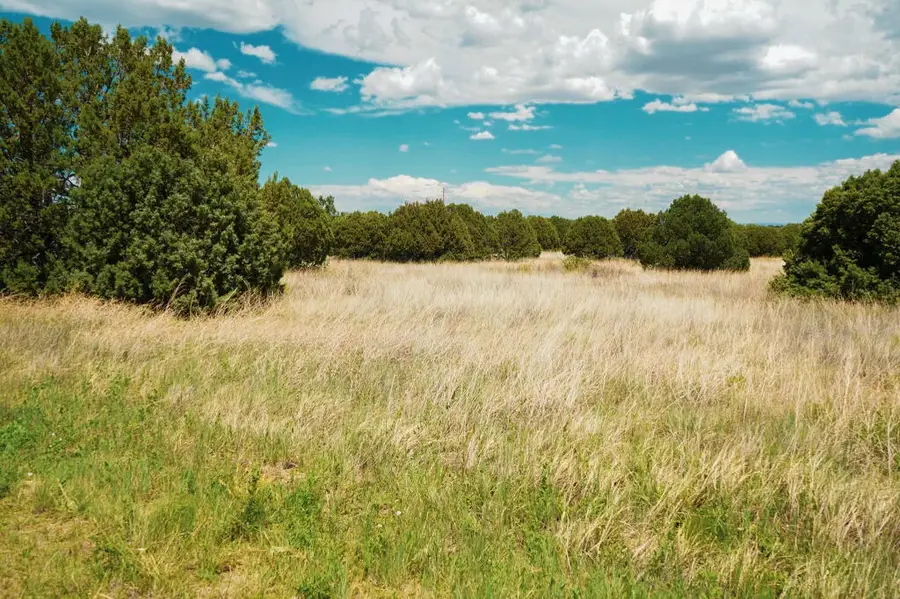 40 Rohrer Place, Tijeras, NM 87059 - #3