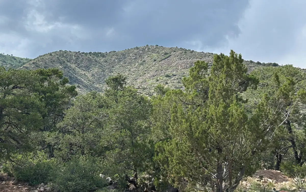 0 Skyview Lane, Edgewood, NM 87015 - Image #1