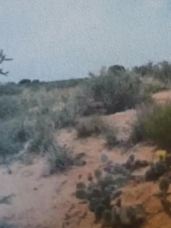 40th Street Nw #2, Rio Rancho, NM 87144