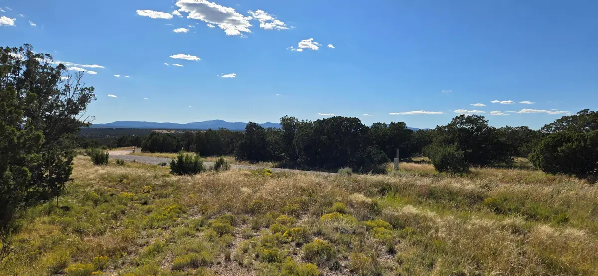 Lot 15 Swayback Trail, Corona, NM 88318 - Image #1