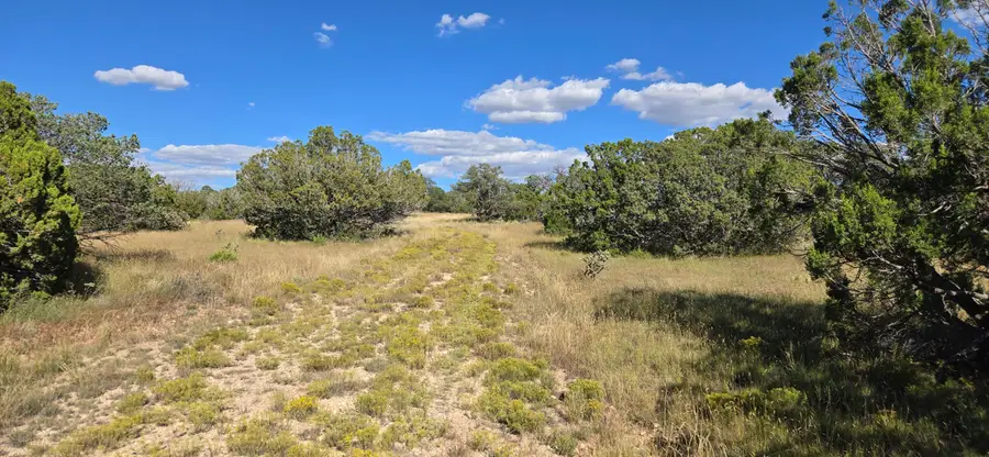 Lot 15 Swayback Trail, Corona, NM 88318 - Image #2
