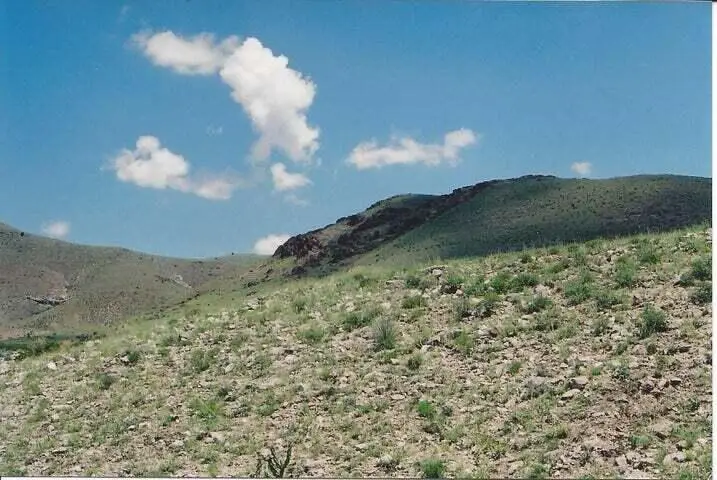 Willow Springs Ranch Lot: 35, San Antonio, NM 87832 - Image #3