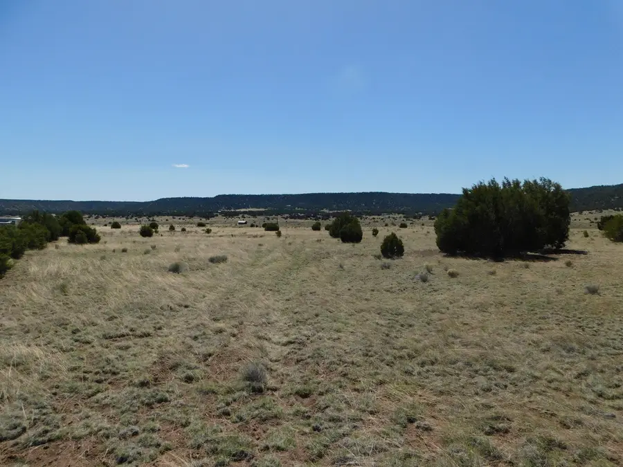 70 ACRES South Coyote Trail, Quemado, NM 87829 - Image #2