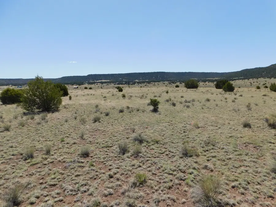 70 ACRES South Coyote Trail, Quemado, NM 87829 - Image #3