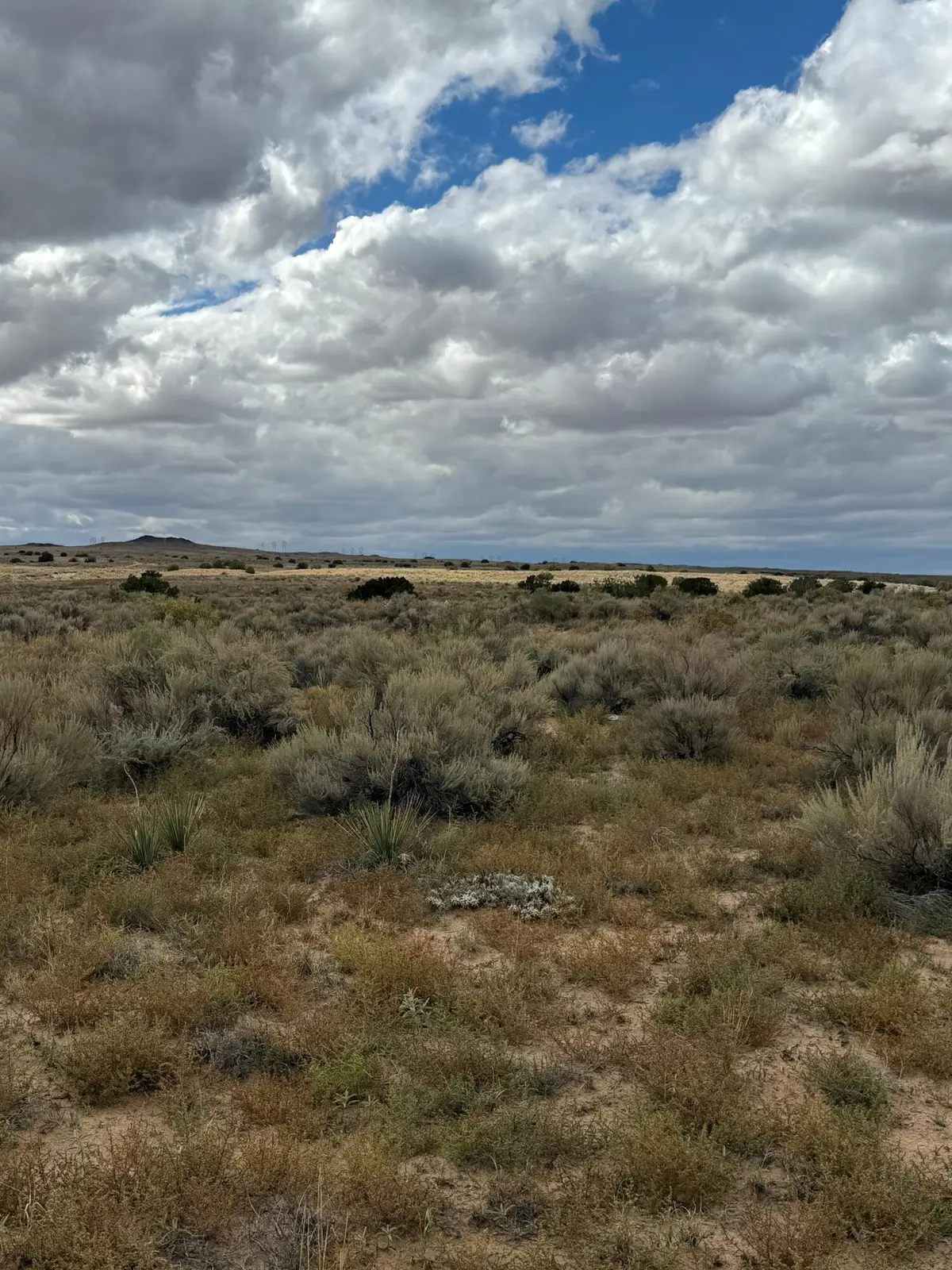 Faciel Road Nw, Albuquerque, NM 87120 - Image #1