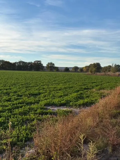 Florentino Rd, Veguita, NM 87062 - Image #3