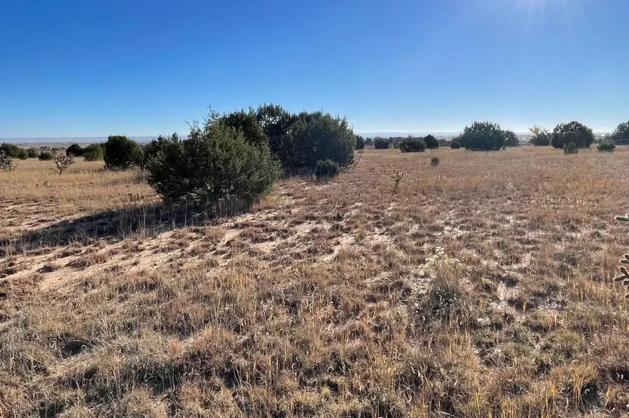 2 Cajun Lane, Edgewood, NM 87015 - Image #2