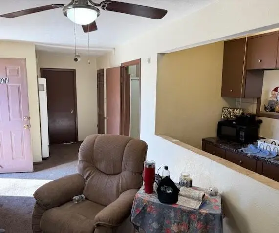 207 Mt Carmel Avenue, Socorro, NM 87801 - Image #3