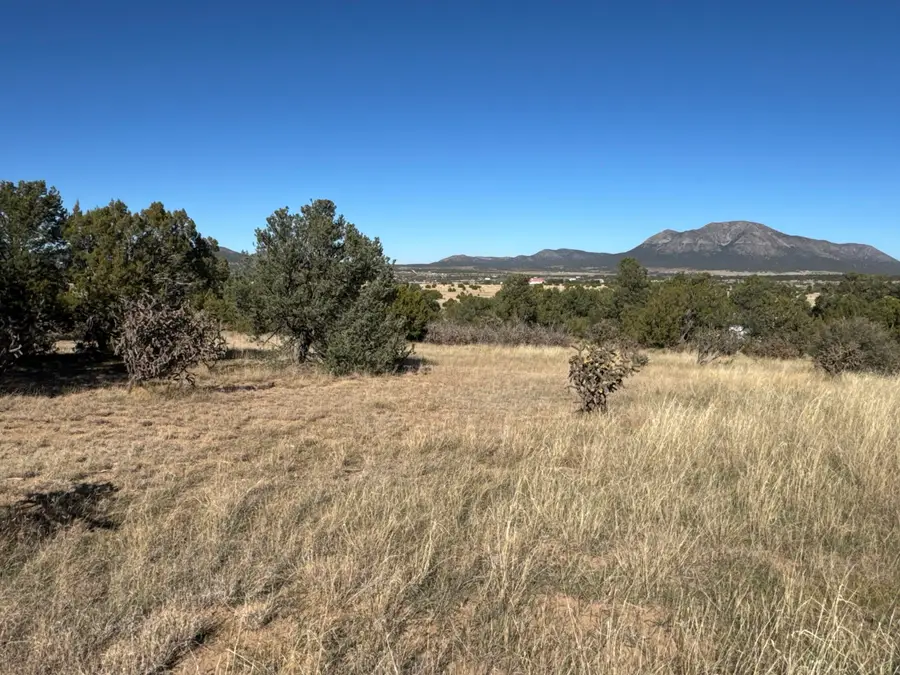 Lot 254 Bolivar Loop, Tijeras, NM 87059 - Image #3