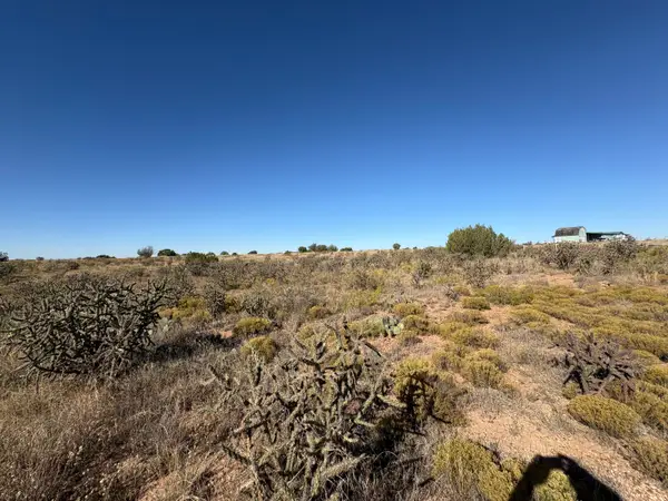 Lot 10 Quail, , NM 88119