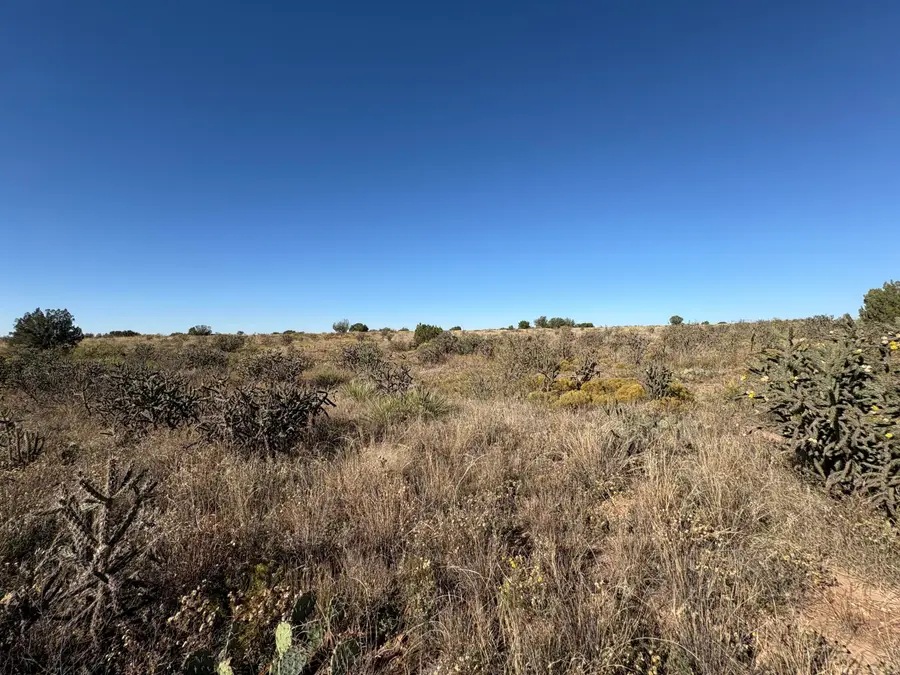 Lot 10 Quail, Fort Sumner, NM 88119 - #2