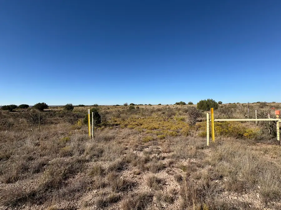 Lot 10 Quail, Fort Sumner, NM 88119 - #3
