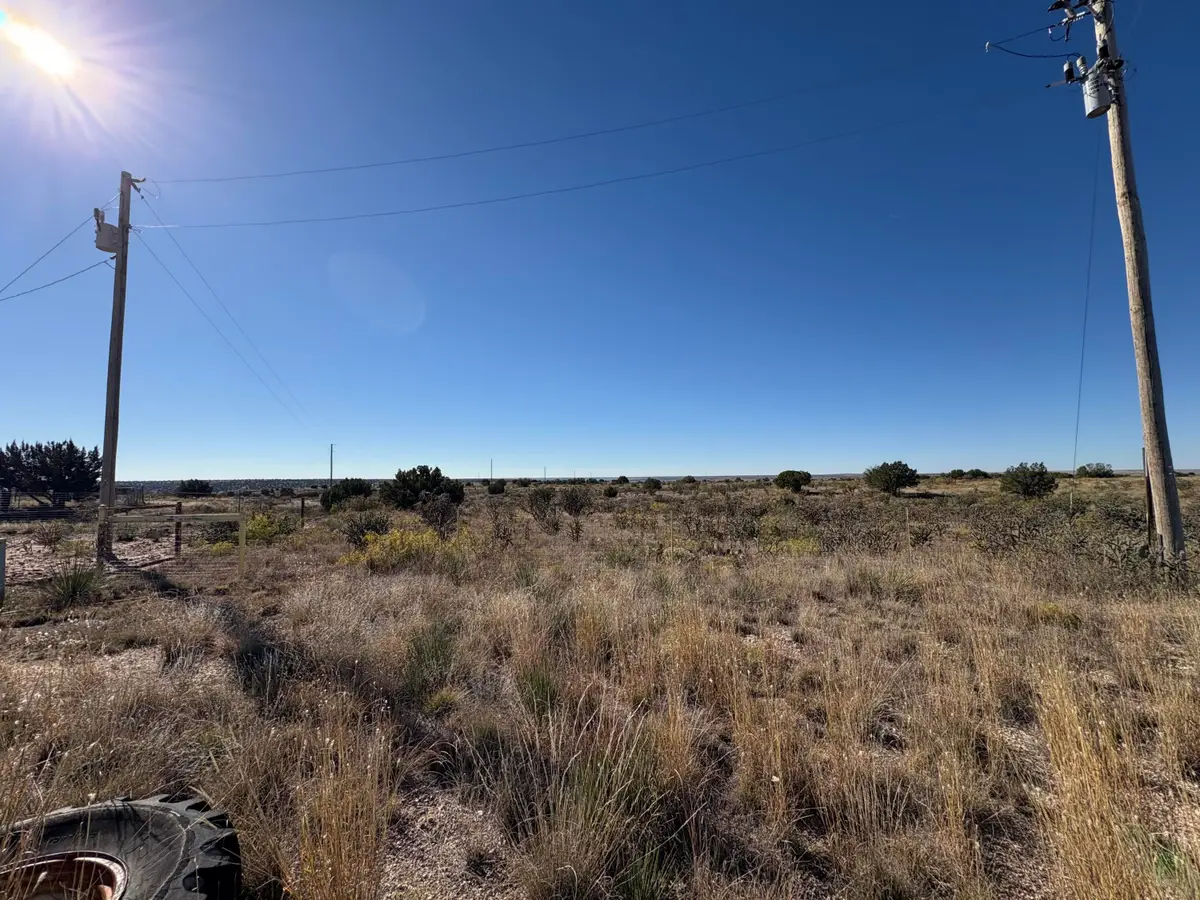Lot 9 Quail Lane, Fort Sumner, NM 88119 - #1