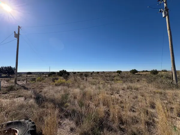 Lot 9 Quail Lane, , NM 88119