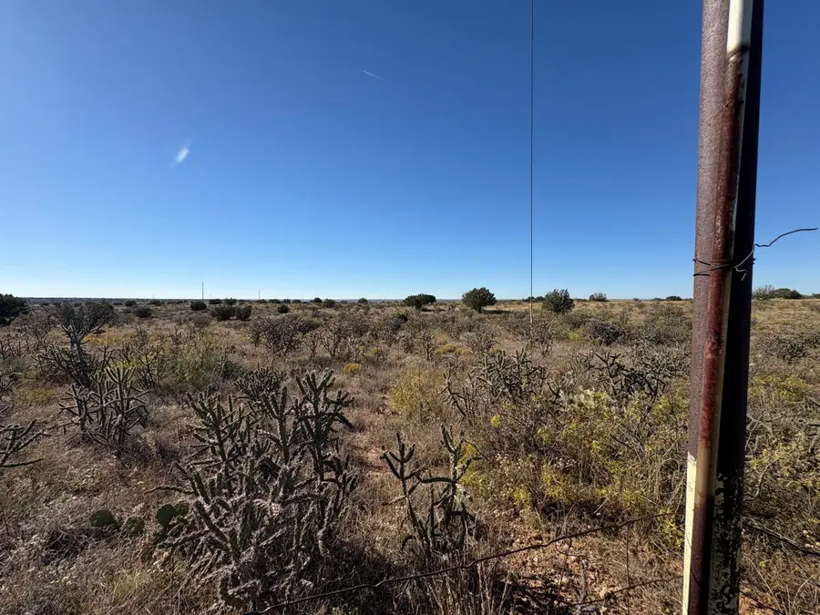 Lot 9 Quail Lane, Fort Sumner, NM 88119 - #2