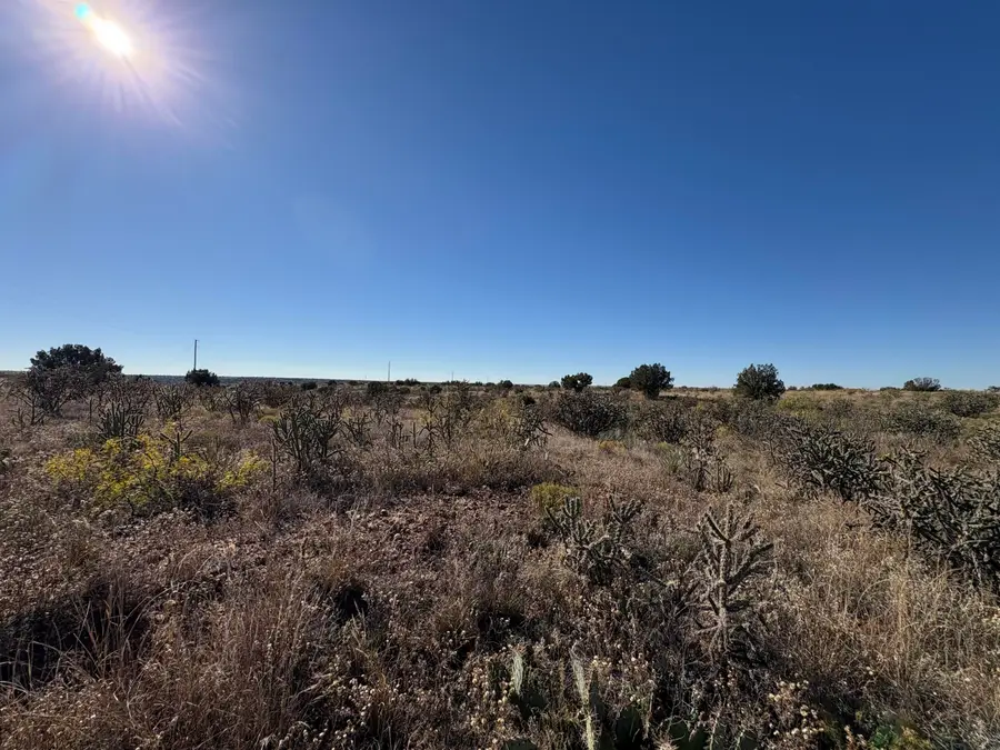 Lot 9 Quail Lane, Fort Sumner, NM 88119 - #3