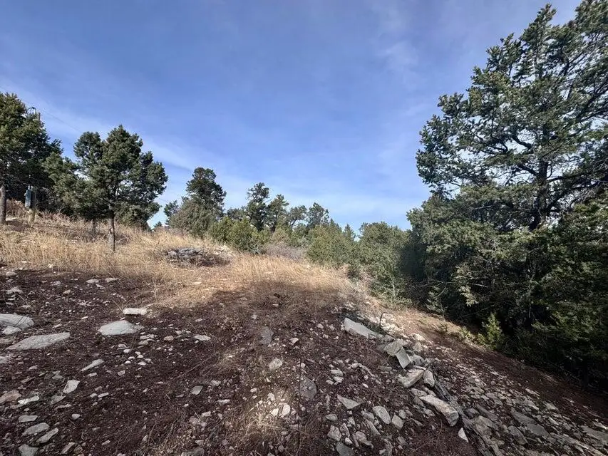 10 Fisher Court, Tijeras, NM 87059 - Image #3