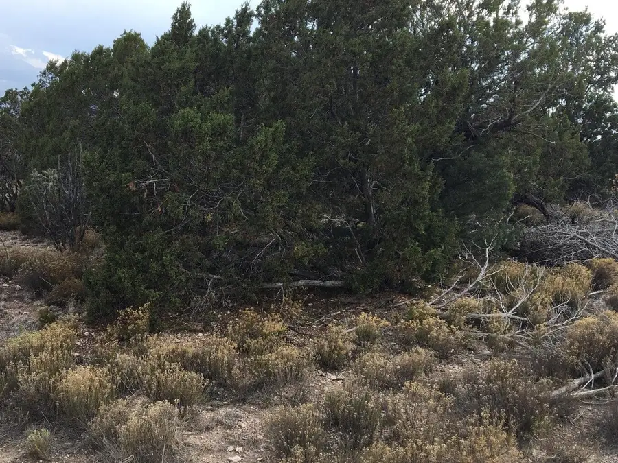 94 Cloonagh Road, Edgewood, NM 87015 - Image #2