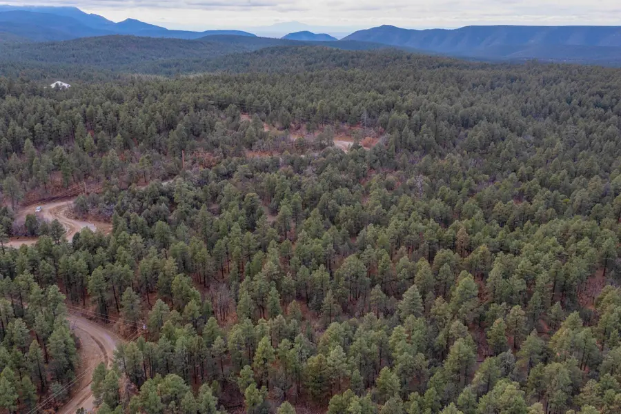 21 Estrella Vista Drive, Tijeras, NM 87059 - #2