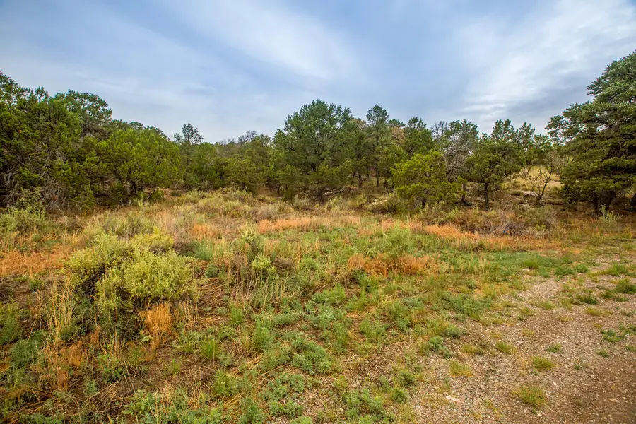 7 Vickie Court, Sandia Park, NM 87047 - Image #2