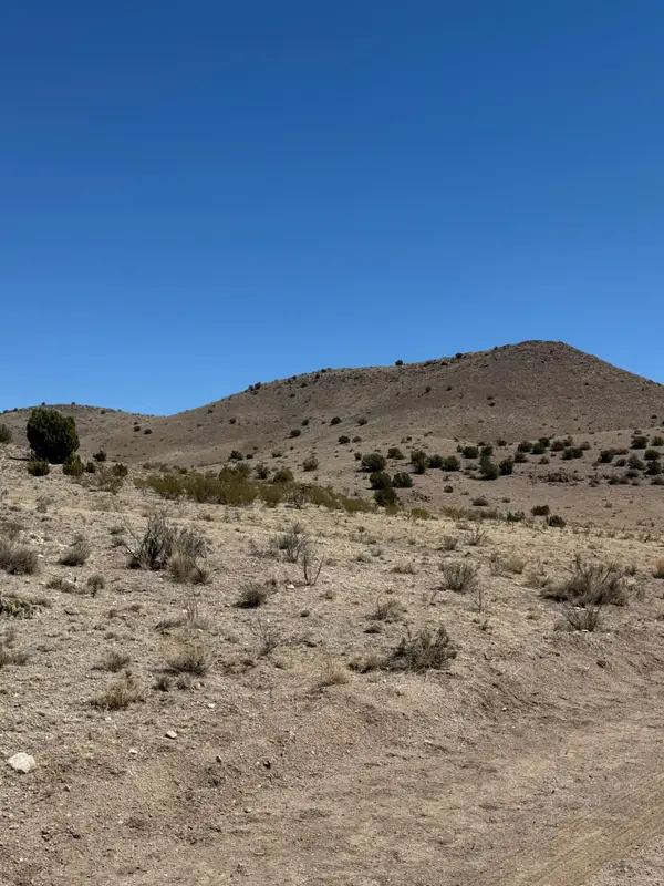 Lot 18 Willow Springs Ranch, San Antonio, NM 87832