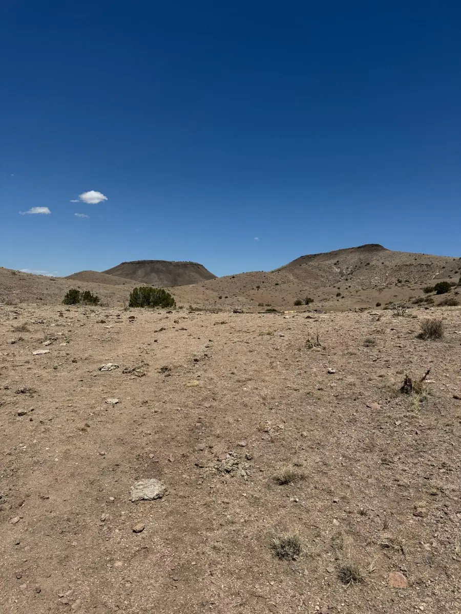 Lot 18 Willow Springs Ranch, San Antonio, NM 87832 - Image #2
