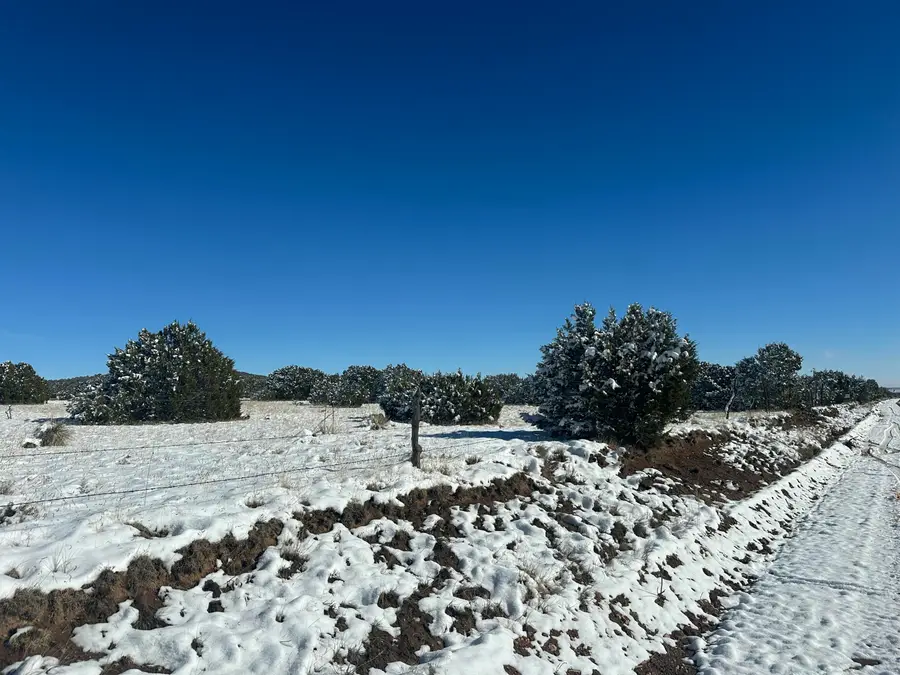 El Gato Road, Manzano, NM 87016 - Image #3