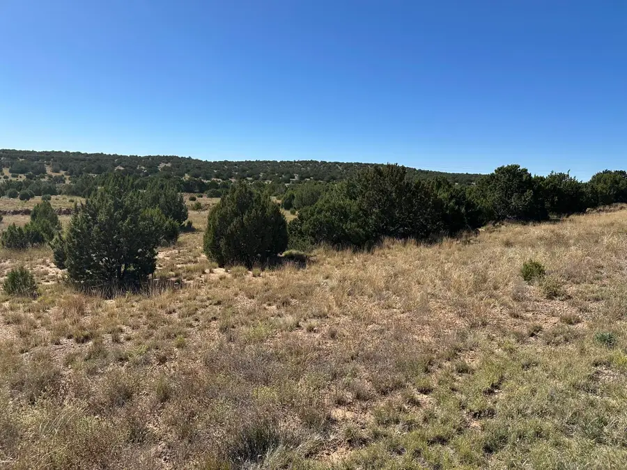 N Us-84, Las Vegas, NM 87701 - Image #3