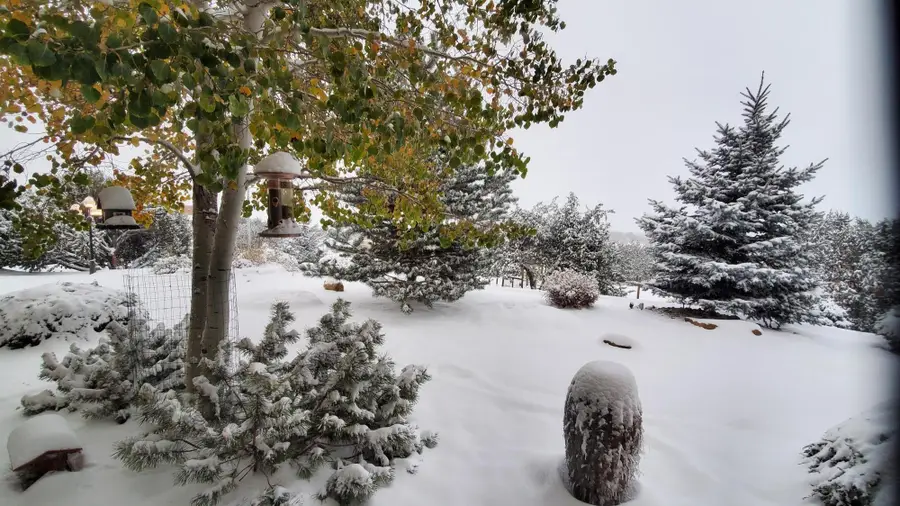 8 Camino Coyote, Edgewood, NM 87015 - Image #3