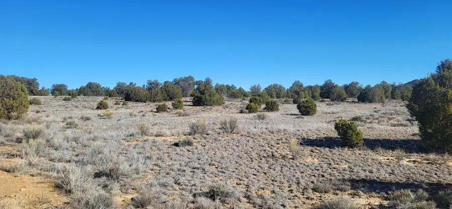 tbd Arrowhead Road, Ramah, NM 87321 - Image #2