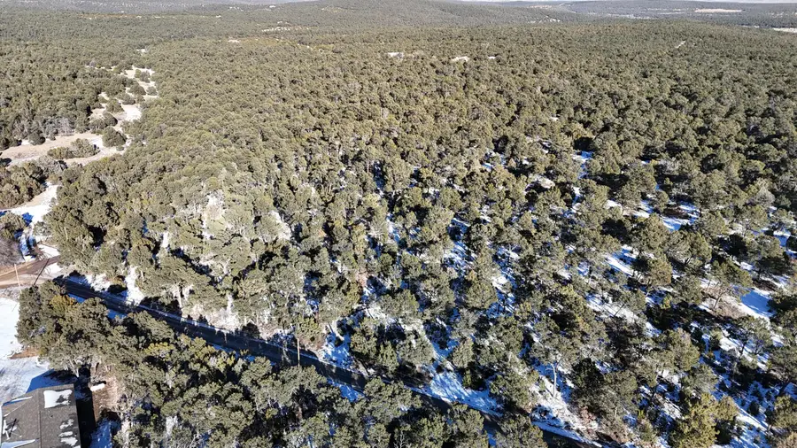 Gonzales Road, Edgewood, NM 87015 - Image #2