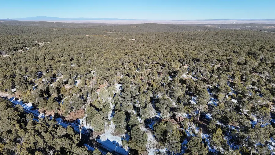 Gonzales Road, Edgewood, NM 87015 - Image #3